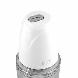 Μπλέντερ 260W με δοχείο 500ml TEESA