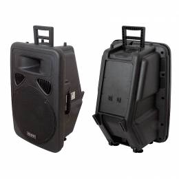 Επαγγελματικό Ηχείο 15" 180W RMS