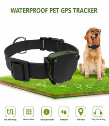 INTIME GPS tracker με κολάρο για κατοικίδια IT-043, IP67