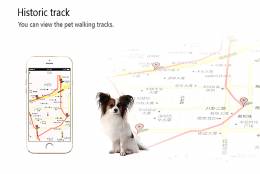 INTIME GPS tracker με κολάρο για κατοικίδια IT-043, IP67