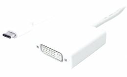 POWERTECH converter USB Type-C σε DVI PTH-036, 4K, λευκό