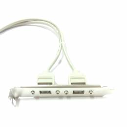 USB Port 2xAF to 2x5pin (5 pin+5 pin) 35cm
